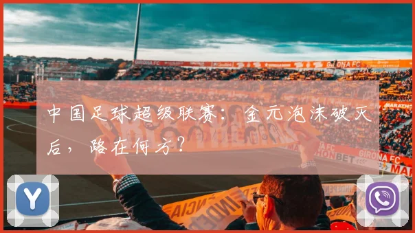 中国足球超级联赛：金元泡沫破灭后，路在何方？