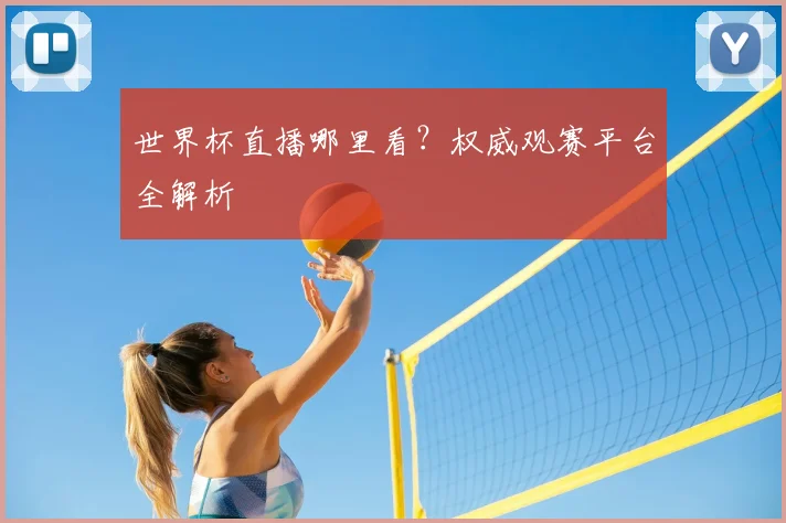 世界杯直播哪里看？权威观赛平台全解析
