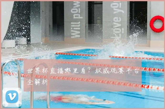 世界杯直播哪里看？权威观赛平台全解析
