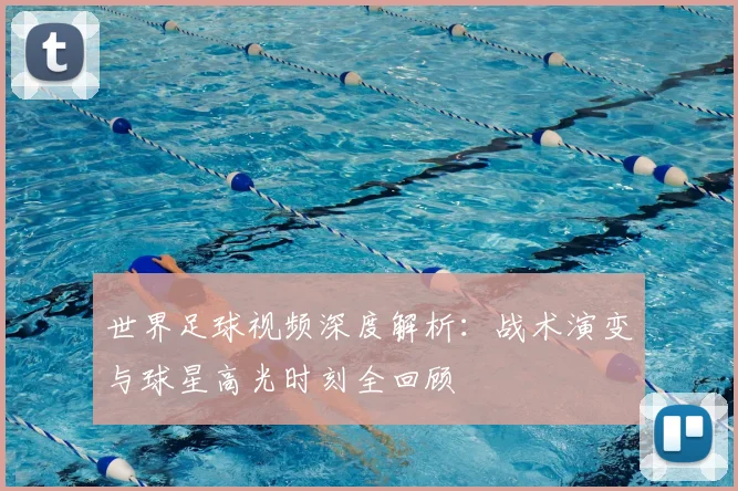 世界足球视频深度解析：战术演变与球星高光时刻全回顾