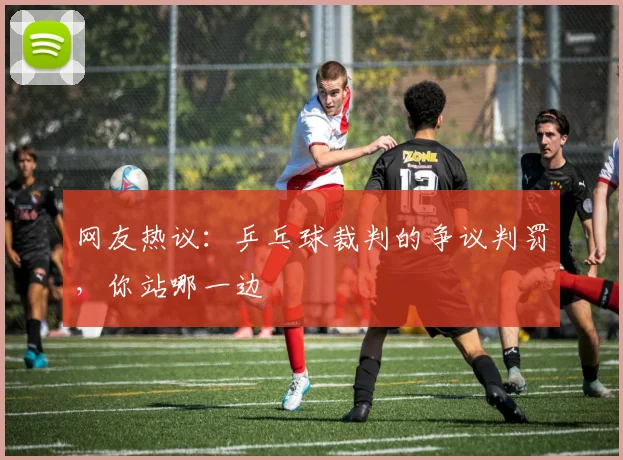 网友热议：乒乓球裁判的争议判罚，你站哪一边